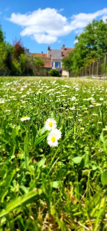 Le Gite Du Nohain Entrains-sur-Nohain エクステリア 写真
